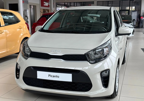 Kia Picanto cena 62400 przebieg: 5, rok produkcji 2024 z Gdynia małe 79